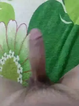 dickbastienweed online show from January 2025 08:42:01 PM