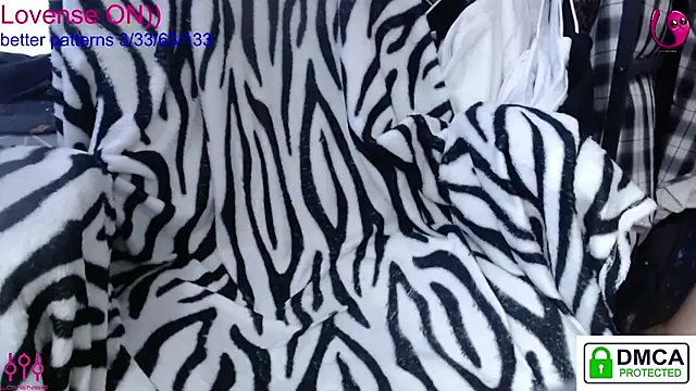 sweet cute cat online show from January 2026 10:29:02 AM