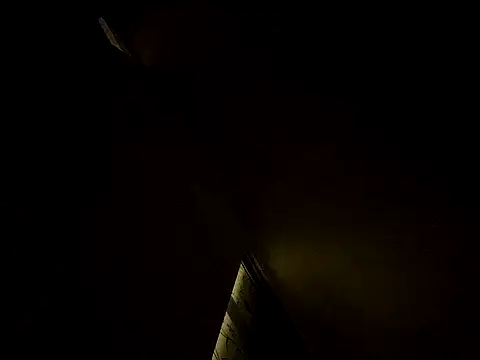 tropikboy online show from March 2025 12:28:02 AM