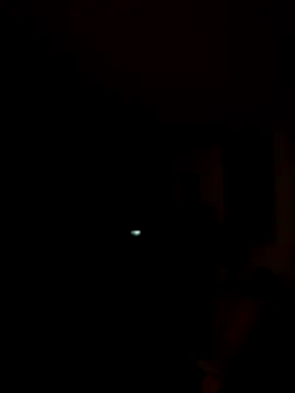 tropikboy online show from November 2025 09:58:02 AM