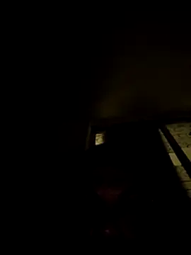 tropikboy online show from November 2025 12:47:02 AM