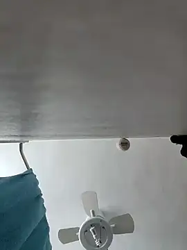 tropikboy online show from February 2026 01:13:02 PM