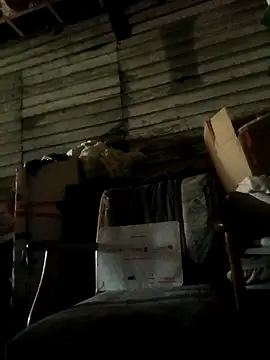 FUNINWV9 online show from December 2025 01:38:02 AM