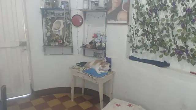 FunnyGrandma online show from February 2026 09:58:02 PM