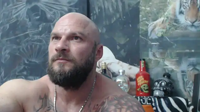 viking 30 online show from June 2026 05:54:01 PM