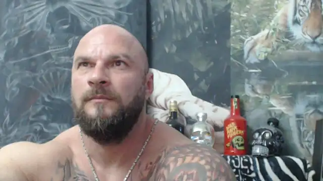 viking 30 online show from June 2026 05:51:02 PM