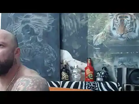 viking 30 online show from April 2026 06:33:02 PM