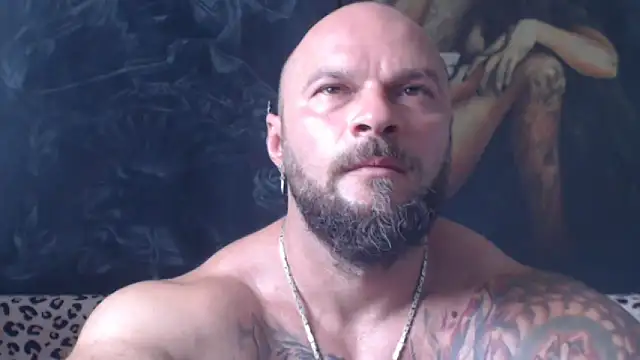 viking 30 online show from July 2026 06:14:01 AM