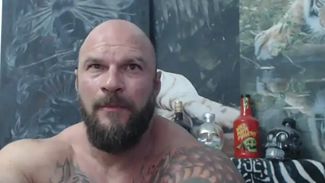 viking 30 online show from June 2026 05:56:01 PM
