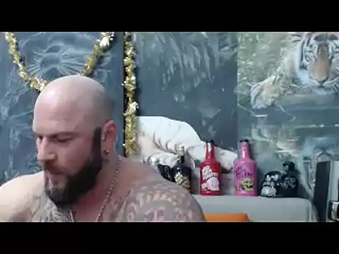 viking 30 online show from February 2026 07:47:02 PM