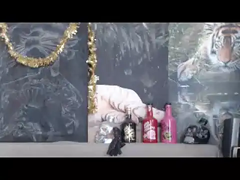 viking 30 online show from March 2026 10:16:01 AM