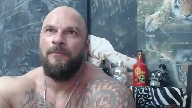 viking 30 online show from June 2026 06:09:01 PM