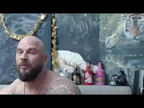 viking 30 online show from April 2026 06:21:02 PM