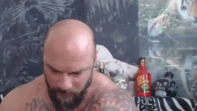 viking 30 online show from June 2026 06:34:01 AM