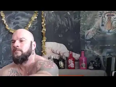 viking 30 online show from February 2026 08:03:01 AM