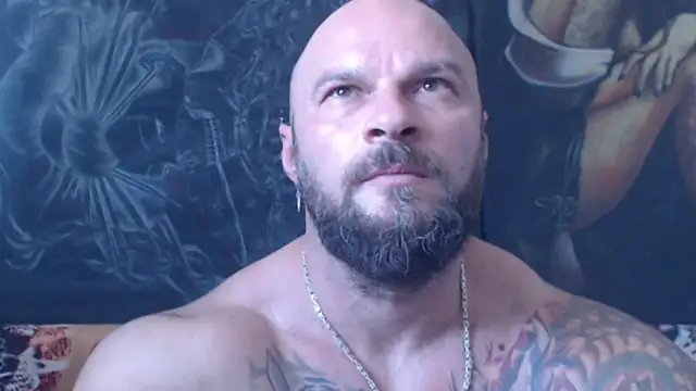 viking 30 online show from July 2026 06:47:02 AM