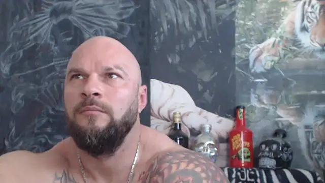 viking 30 online show from June 2026 06:35:01 AM