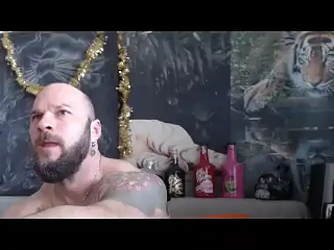 viking 30 online show from March 2026 06:43:02 AM