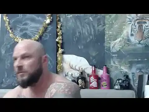 viking 30 online show from March 2026 07:25:01 PM