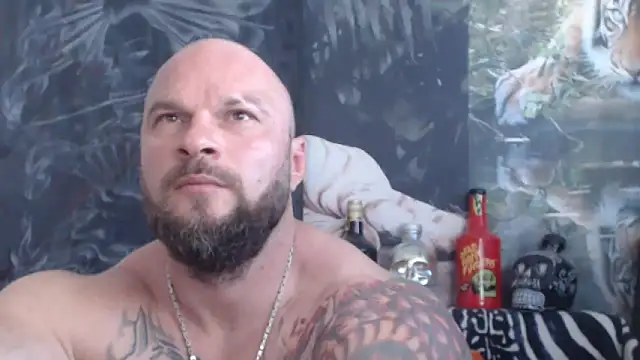 viking 30 online show from June 2026 06:40:01 AM
