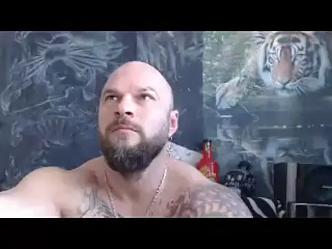 viking 30 online show from April 2026 06:07:02 AM