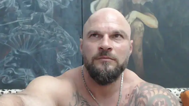 viking 30 online show from June 2026 06:35:02 PM