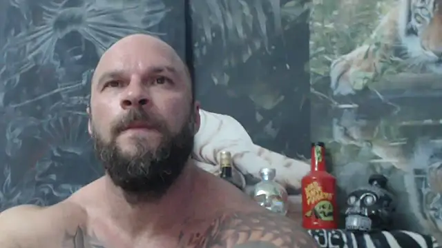 viking 30 online show from June 2026 06:03:02 PM