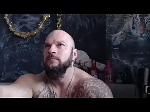 viking 30 online show from February 2026 07:26:01 AM