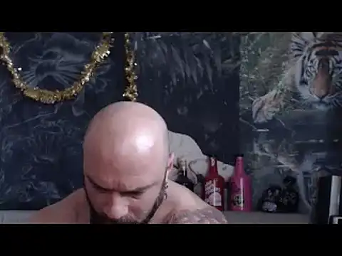 viking 30 online show from March 2026 06:26:01 AM