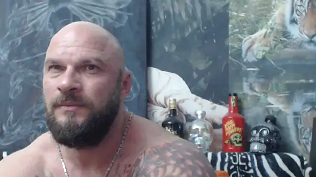 viking 30 online show from June 2026 06:20:01 PM
