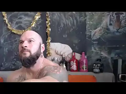 viking 30 online show from January 2026 08:10:02 AM