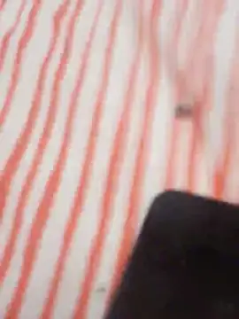 Snapshot of MRbigc23 chatting on May 2026 03:07:02 PM MRbigc23 online show from May 2026 03:07:02 PM