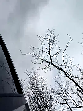 Model9798 online show from December 2025 09:31:02 AM