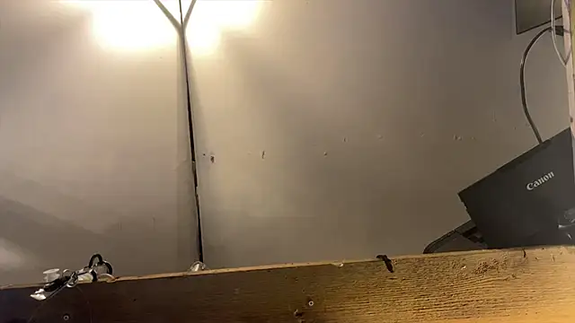 xdresserwithass online show from February 2026 06:46:01 AM