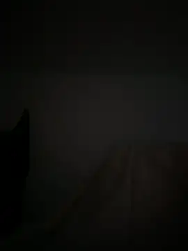 Marocainegroscul online show from November 2025 07:02:01 AM