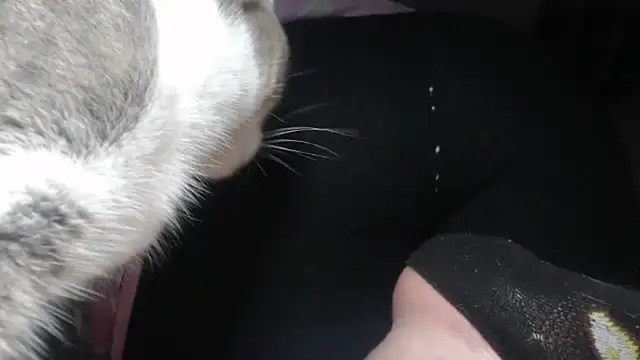 prettyangelsquirt online show from April 2026 11:43:02 PM