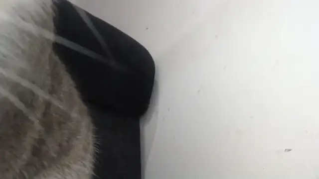 prettyangelsquirt online show from April 2026 11:28:01 PM