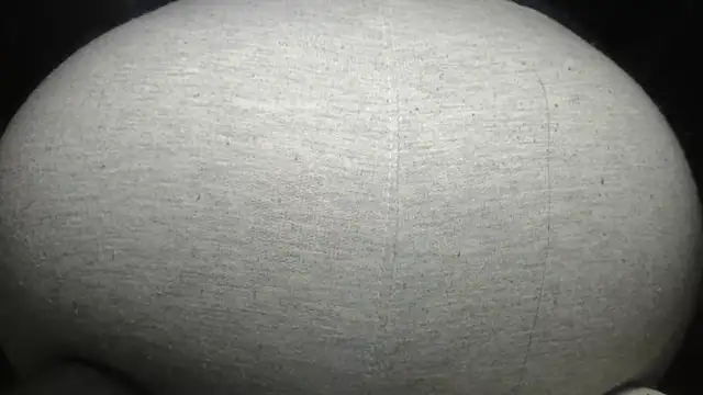 prettyangelsquirt online show from April 2026 11:11:02 PM