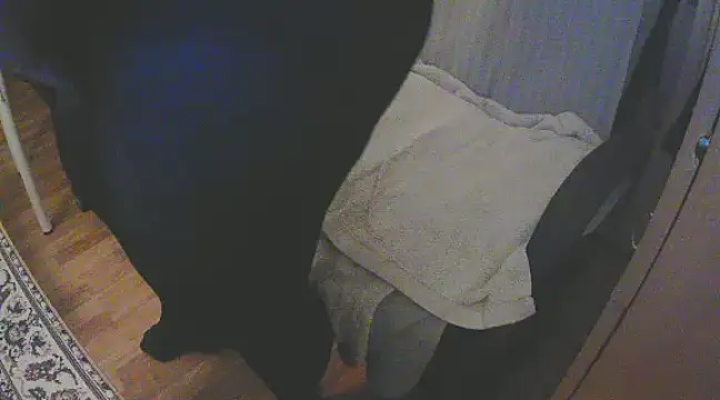 Snapshot of szadamo chatting on December 2024 04:53:02 PM szadamo online show from December 2024 04:53:02 PM