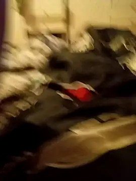 Lm-Schwanz online show from March 2026 11:32:02 PM