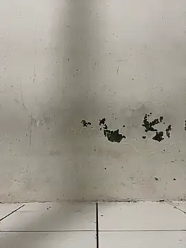 Snapshot of ditiya18 chatting on February 2025 01:42:01 PM ditiya18 online show from February 2025 01:42:01 PM