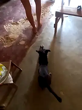 sexicaribe2 online show from October 2025 06:16:01 PM