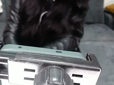 Snapshot of kamila-diablita chatting on March 2025 03:59:02 PM kamila-diablita online show from March 2025 03:59:02 PM