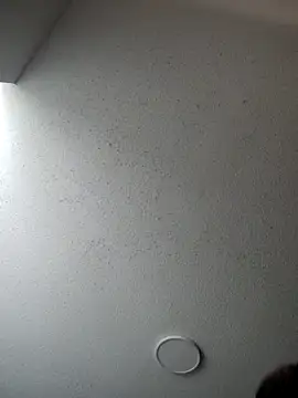 Snapshot of 6lue6a6y69 chatting on January 2025 06:13:02 AM 6lue6a6y69 online show from January 2025 06:13:02 AM