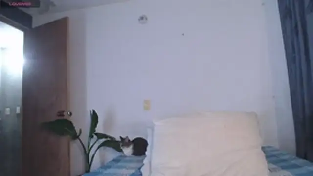 valen thompson online show from April 2026 03:46:02 AM