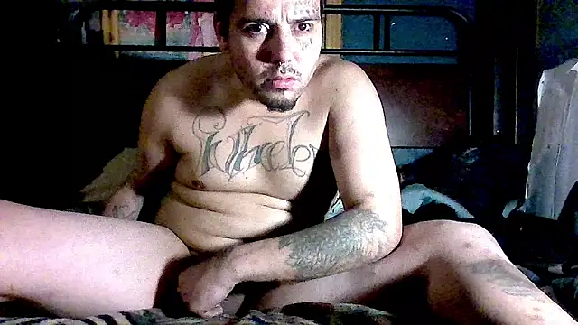 cesloer online show from January 2025 09:58:02 AM