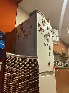 camelia3 online show from October 2025 07:36:01 PM