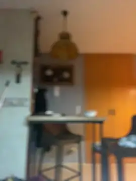 Snapshot of camelia3 chatting on February 2026 12:44:02 AM camelia3 online show from February 2026 12:44:02 AM