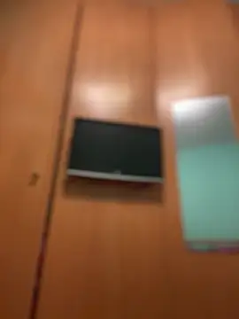 camelia3 online show from March 2026 07:18:01 PM