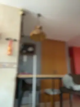 camelia3 online show from March 2026 10:19:02 AM